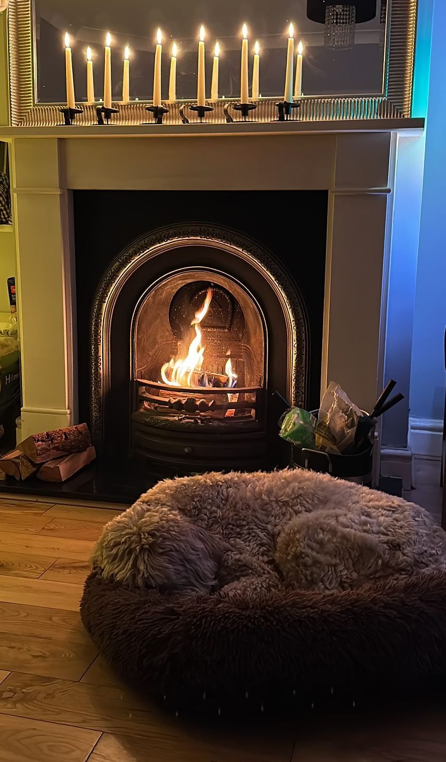 Max, a Goldendoodle, asleep in his bed by a log fire while boarding with Warren